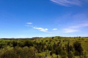 Alice Springs Green Desert