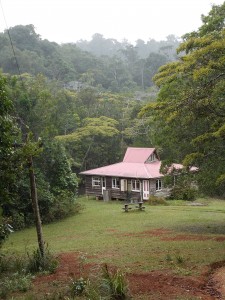 Blackbean Cottage in the clouds