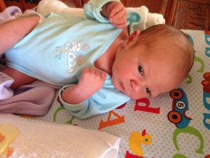 All my heart Evie