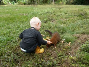 Henry and possum