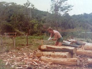 A week of chipping bark and sapwood for 45 Homestead stumps