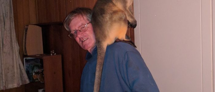 me & tree roo